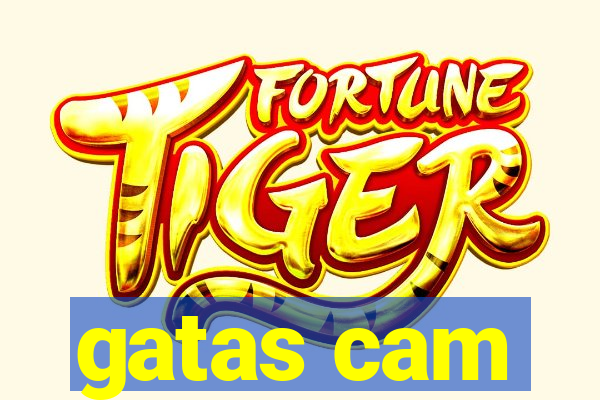 gatas cam